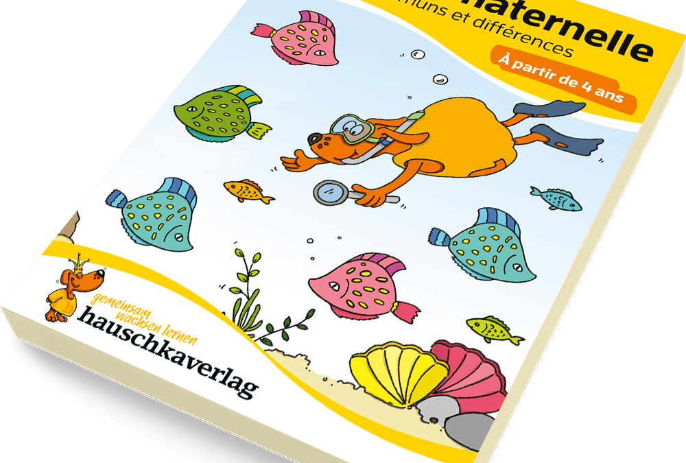 Bloc de maternelle – Points communs et différences | Nr. 767