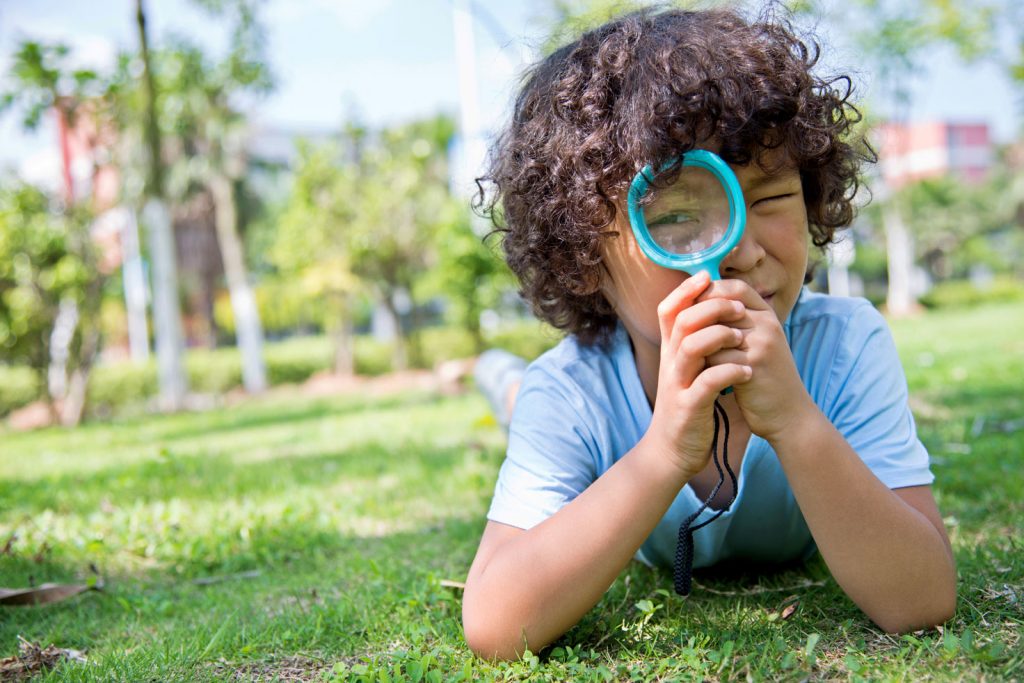 Sehen, Wahrnehmen, Entdecken