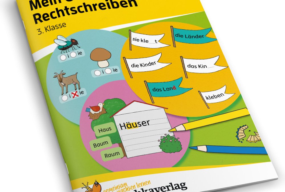 Mein Übungsheft Rechtschreiben – 3. Klasse | Nr. 453